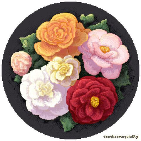 Begonias