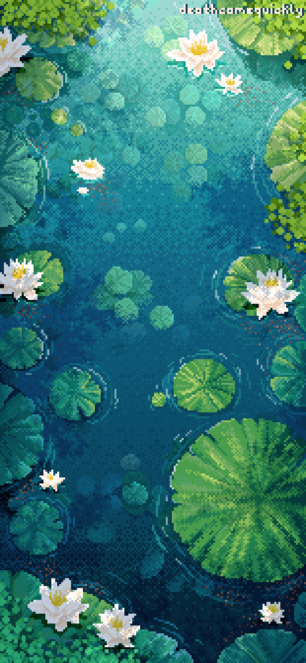 Pond Pond