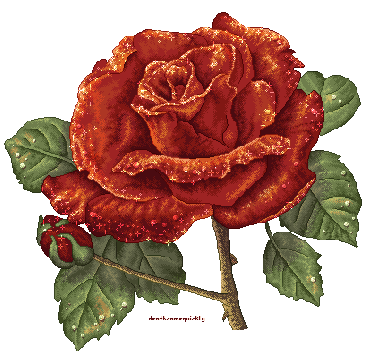 Sparkle Rose Sparkle Rose