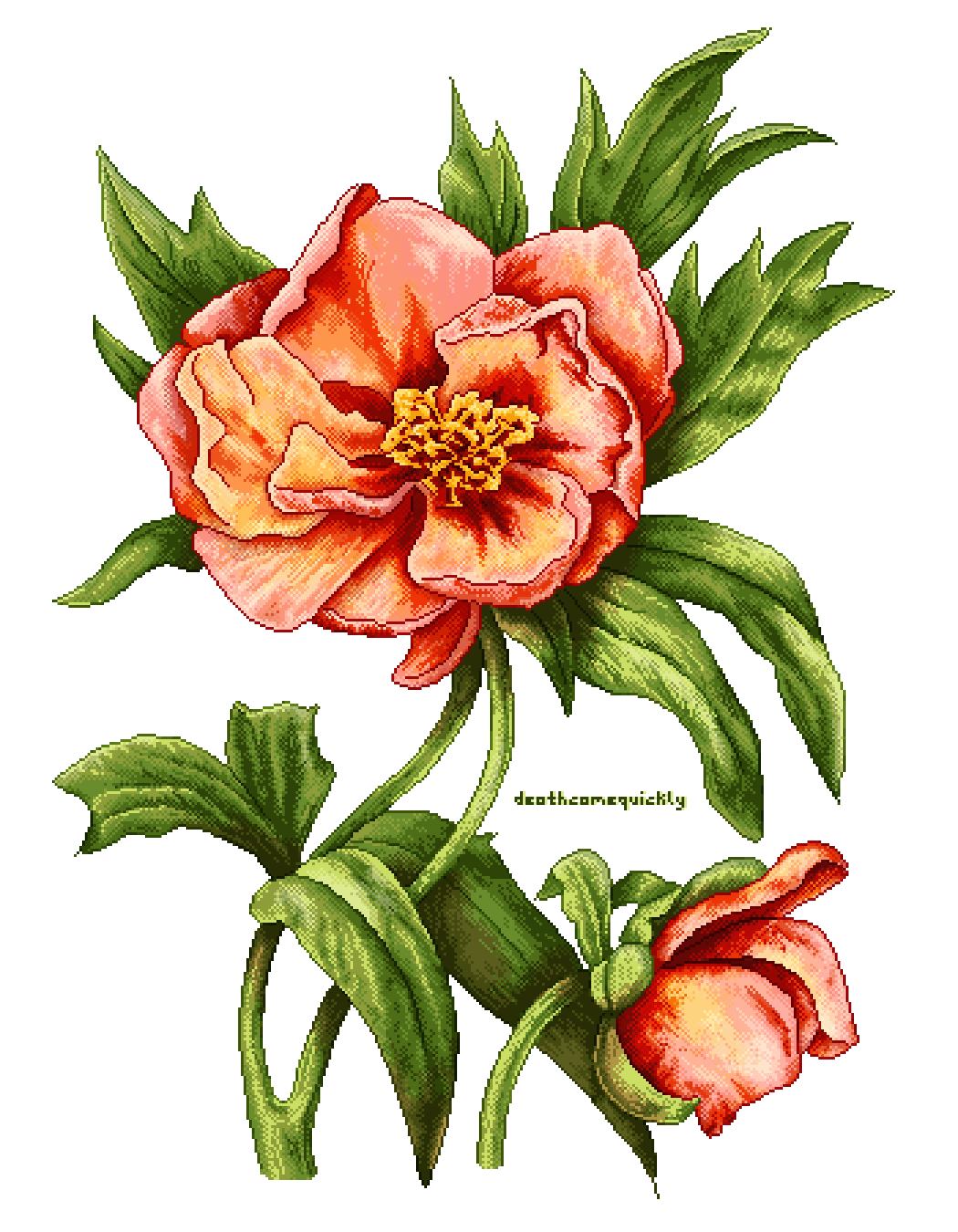Peony Peony